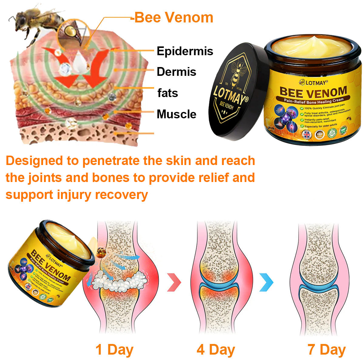LOTMAY® Bee Venom Pain-Relief Bone Healing Cream 🐝🐝(Specially for older adults & NHS recommends)